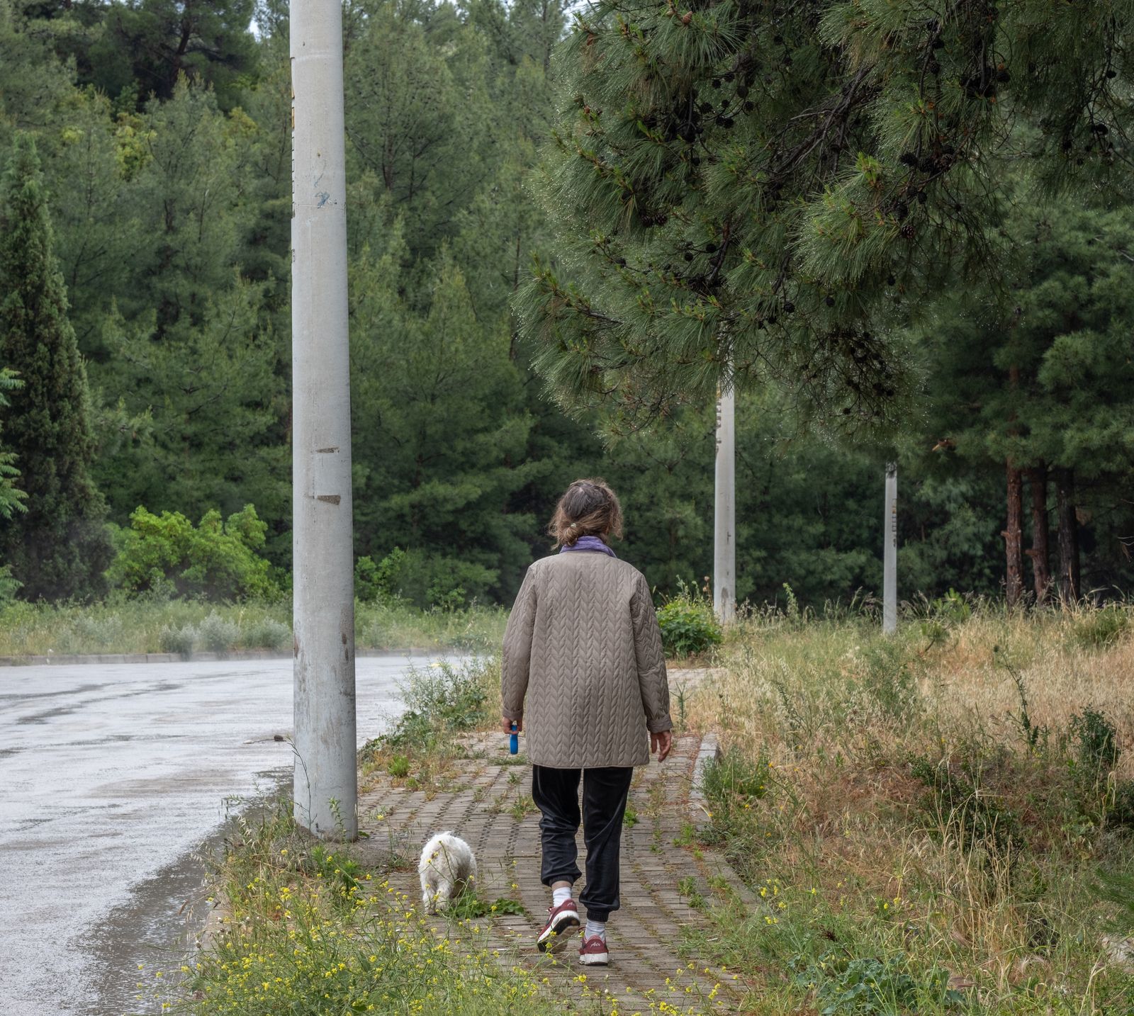 Kvinna går med en liten hund på en grön skogsstig